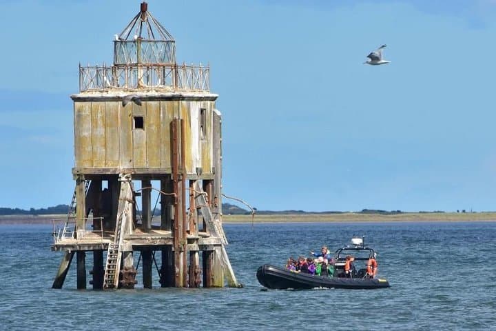Tay Estuary Speedboat Seafari: Dolphins, Seals & Coastal Sights photo 5