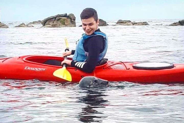 Kayak with Dalkey Island Seals: Dublin Bay Kayaking Safari from Bullock Harbour