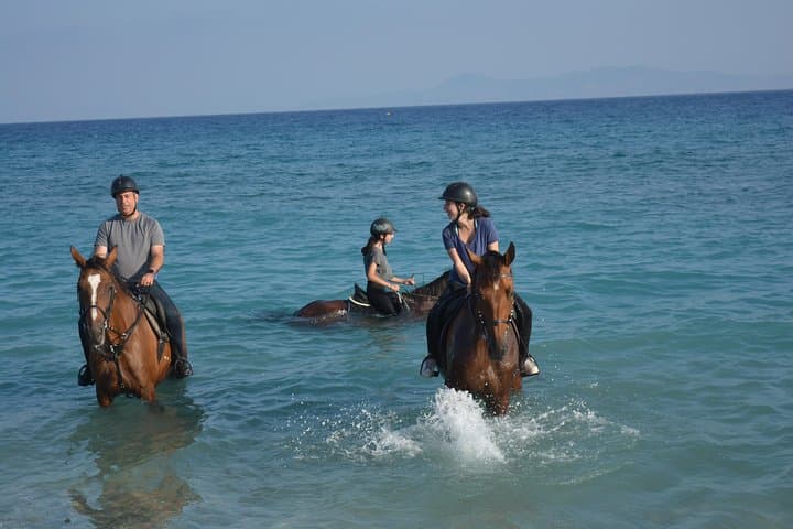 Sunset Horseback Ride on Rhodes Beach — 1-Hour Coastal Trail photo 2