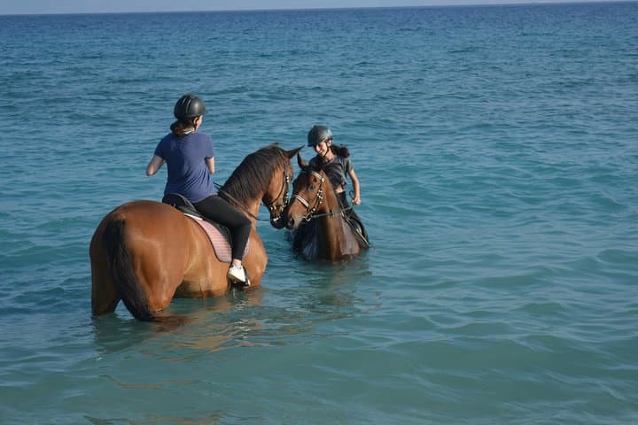 Sunset Horseback Ride on Rhodes Beach — 1-Hour Coastal Trail