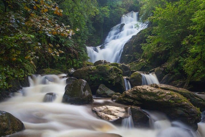 Killarney Highlights Half-Day Tour — Muckross House, Ross Castle & Torc Waterfall photo 6