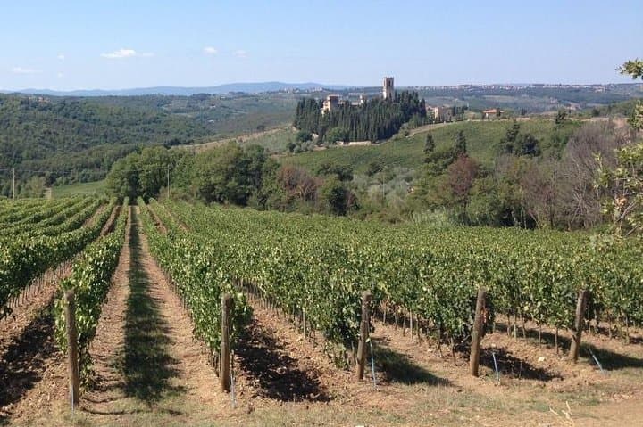 Private Chianti Wine Tour from Florence — Wineries, Tastings & Tuscan Lunch photo 2