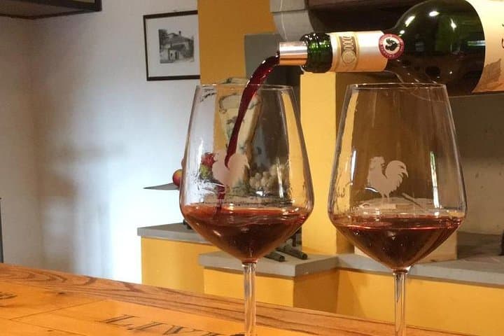 Private Chianti Wine Tour from Florence — Wineries, Tastings & Tuscan Lunch photo 3