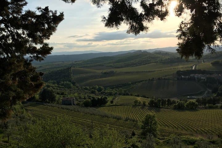 Private Chianti Wine Tour from Florence — Wineries, Tastings & Tuscan Lunch photo 4