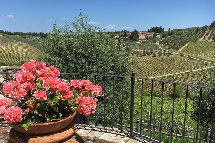 Private Chianti Wine Tour from Florence — Wineries, Tastings & Tuscan Lunch photo 5
