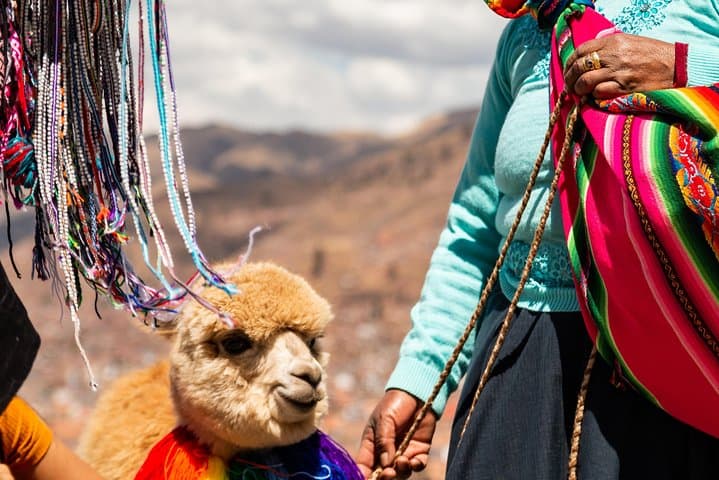 Walking City Tour of Cusco: Cathedral, Qoricancha & Inca Outposts photo 3