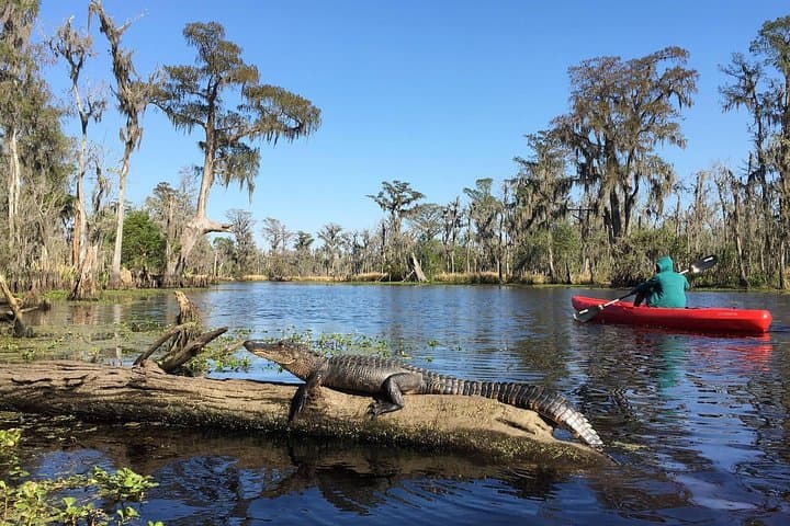 Manchac Swamp Kayak and Whitney Plantation Combo from New Orleans
