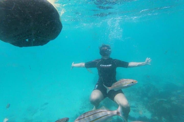 Seabob the Antilla Shipwreck: High-Speed Snorkel Tour in Aruba photo 3