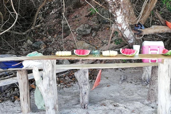 Isla Tortuga Snorkeling Tour from Paquera — Boat Ride, Reefs & Tropical Beach photo 3