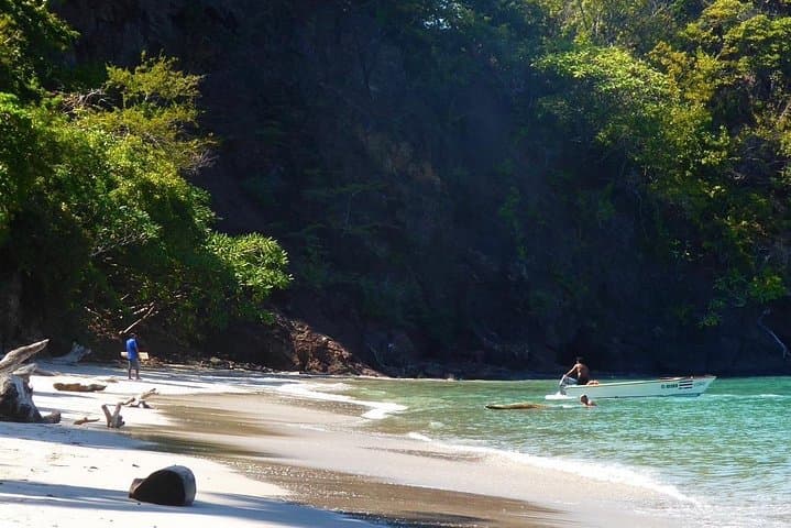Isla Tortuga Snorkeling Tour from Paquera — Boat Ride, Reefs & Tropical Beach photo 5
