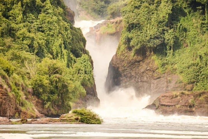 Unique Uganda Adventure: 8-Day Gorillas, Chimpanzees & Big Five Highlights photo 3