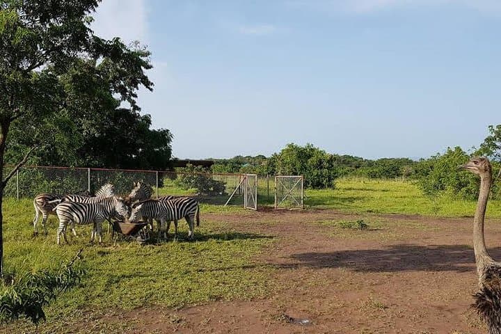 Shai Hills and Akosombo Day Tour from Accra — Lake Volta Views & Wildlife photo 2