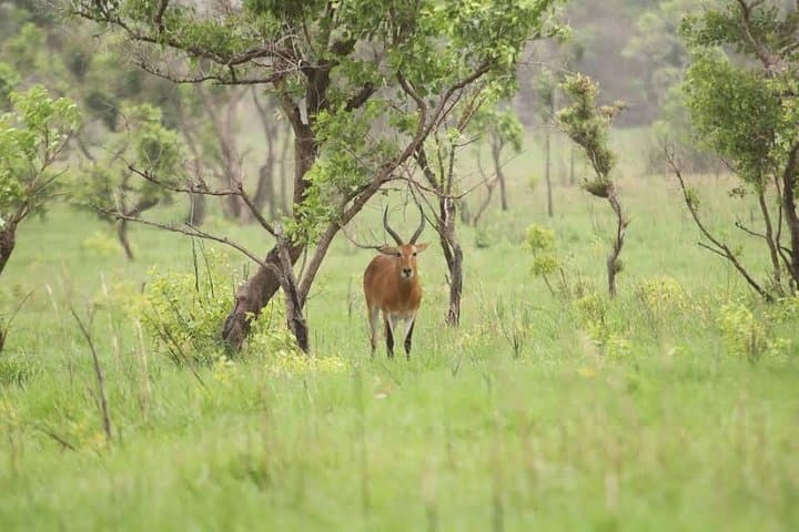 Shai Hills and Akosombo Day Tour from Accra — Lake Volta Views & Wildlife photo 4