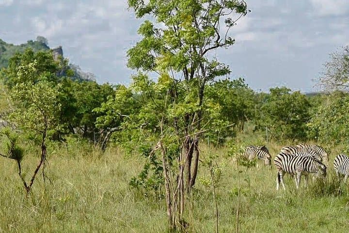 Shai Hills and Akosombo Day Tour from Accra — Lake Volta Views & Wildlife photo 5