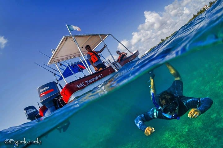 Snorkel with Hawksbill Turtles in Costa Maya — 90-Minute Reef Lagoon Boat Tour photo 1