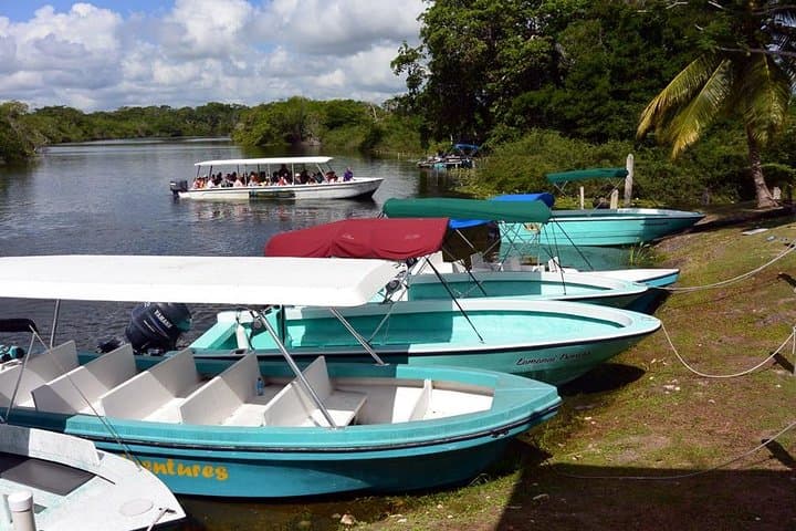 Lamanai and Scenic Boat Ride from Caye Caulker: New River to Ancient Temples photo 6
