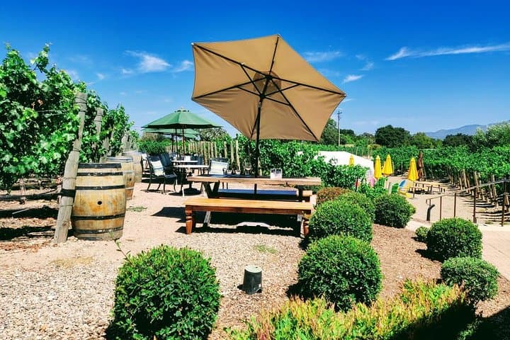 Explore Santa Barbara Wine Country: A Day Tasting Tour from Los Angeles photo 4