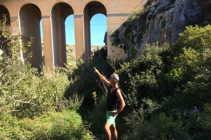 Walk the Victoria Lines: A Quiet Ridge Walk Through Malta’s Historic Fortifications photo 5
