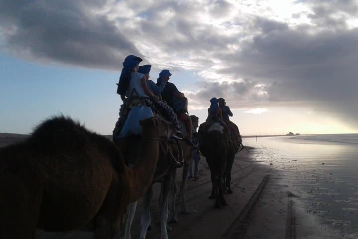 Sunset Camel Ride on Essaouira's Atlantic Beaches — 3-Hour Coastal Caravan photo 2