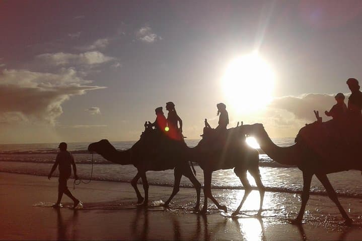 Sunset Camel Ride on Essaouira's Atlantic Beaches — 3-Hour Coastal Caravan photo 4