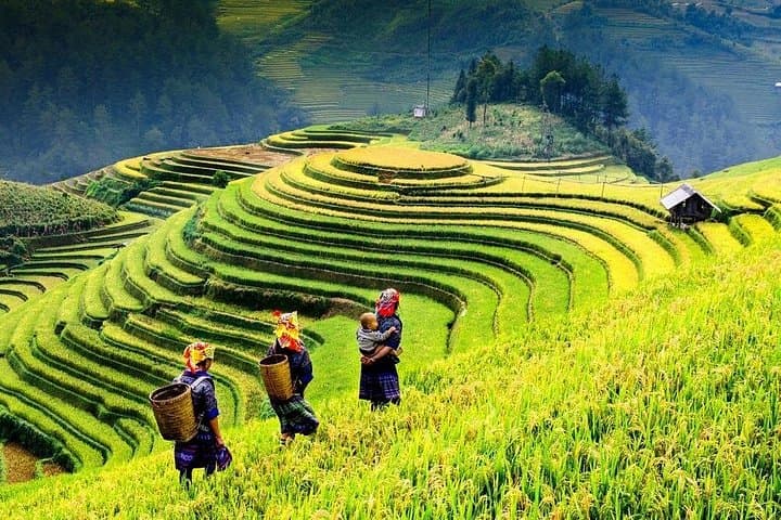 Sapa 2-Day Trek from Hanoi: Homestay Trekking to Lao Chai & Ta Van photo 2