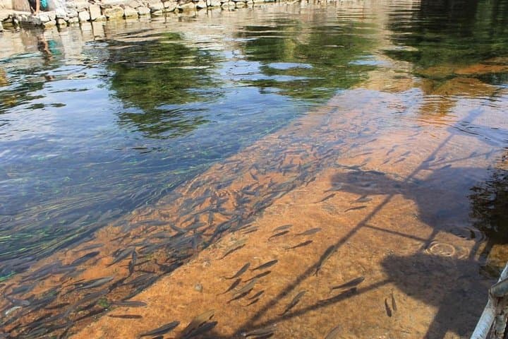 Chiluchorchashma — Day Tour to the 44 Springs from Dushanbe photo 2