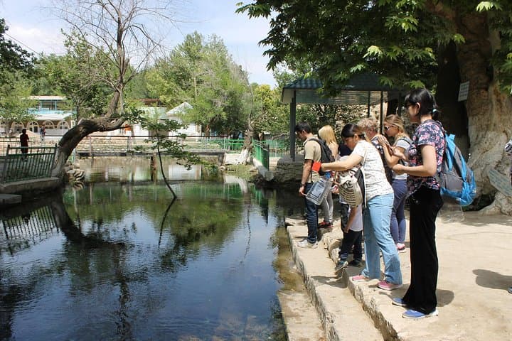 Chiluchorchashma — Day Tour to the 44 Springs from Dushanbe photo 6