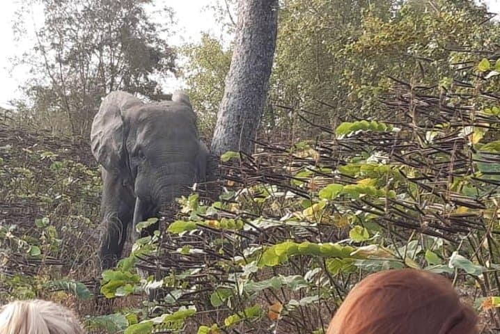 3-Day Safari at Mole National Park: Wildlife, Culture & Guided Safaris