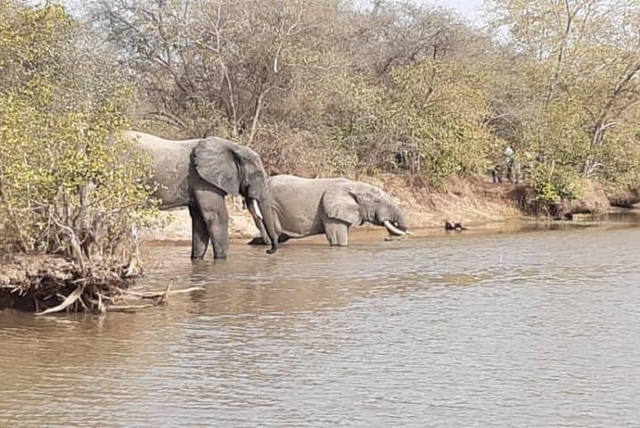 3-Day Safari at Mole National Park: Wildlife, Culture & Guided Safaris photo 2