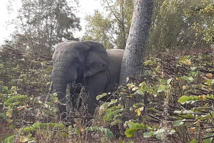 3-Day Safari at Mole National Park: Wildlife, Culture & Guided Safaris photo 3