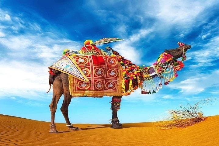 Taj Mahal & Rajasthan Desert Tour: 15-Day Cultural Road Trip from Delhi photo 3