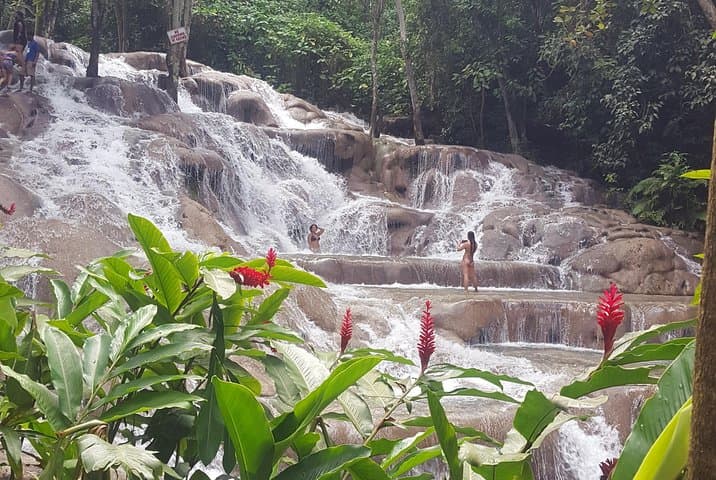 Blue Hole & Dunn's River: Hike, Cliff Jump and Tarzan Swing from Ocho Rios photo 2