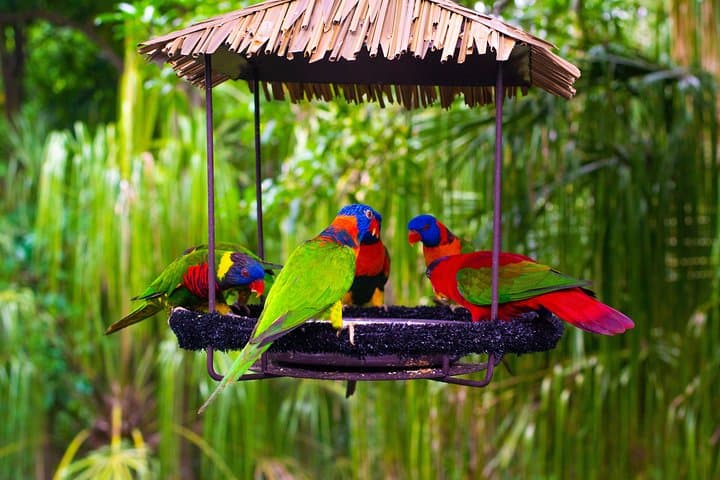 Jurong Bird Park: A Bird Photography Workshop for Beginners and Enthusiasts photo 3