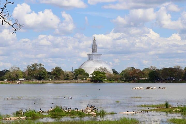 8-Day Sri Lanka Cultural Triangle Private Car Tour with English-Speaking Driver-Guide