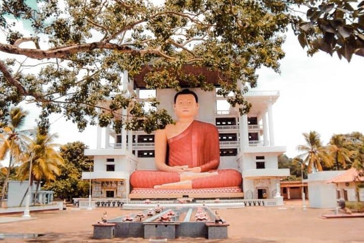 Temples and Wilderness: 2-Day Private Tour from Negombo to Yala National Park photo 2