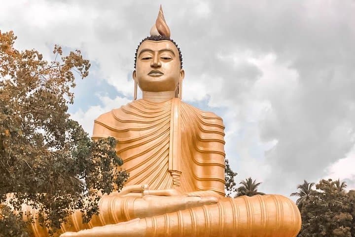 Temples and Wilderness: 2-Day Private Tour from Negombo to Yala National Park