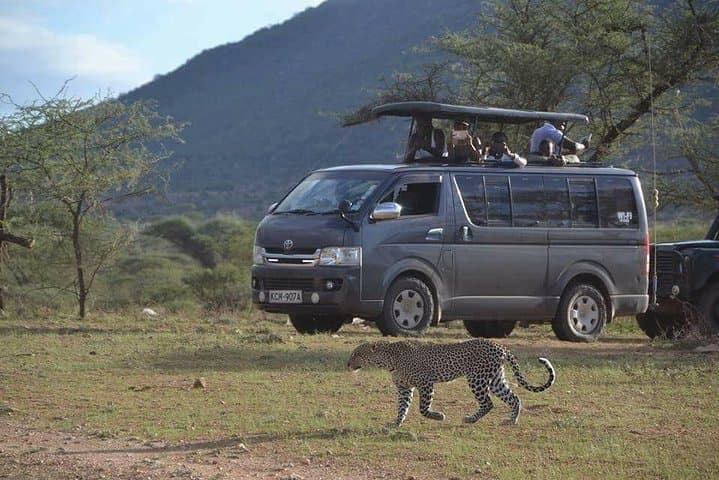 4-Day Maasai Mara to Nakuru Group Safari — Wildebeest Migration & Flamingos photo 1