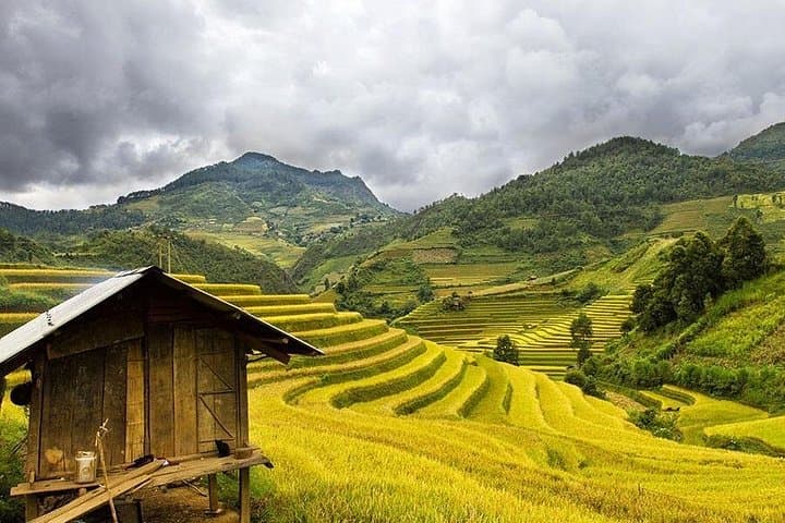 Sapa Two-Day Homestay Trek: Y Linh Ho, Lao Chai & Ta Van Valleys photo 3
