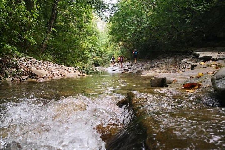 Casentino Forests Water Trek: Streams, Mills & the Howling Cave near Premilcuore photo 2