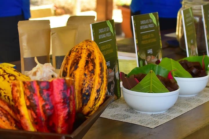Ocean-View Zipline and Costa Rica Chocolate Experience near Jaco photo 2