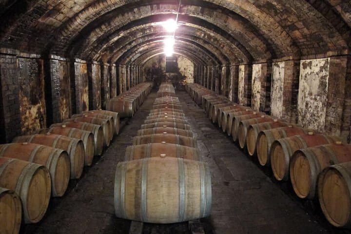 Private Chianti Wine & Olive Oil Tasting — Day Trip from Florence photo 4