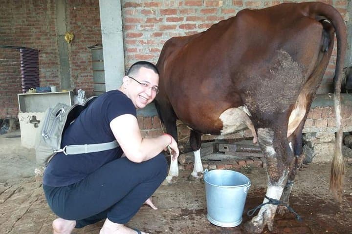 Amritsar Village Excursion: A Morning in Rural Punjab photo 2