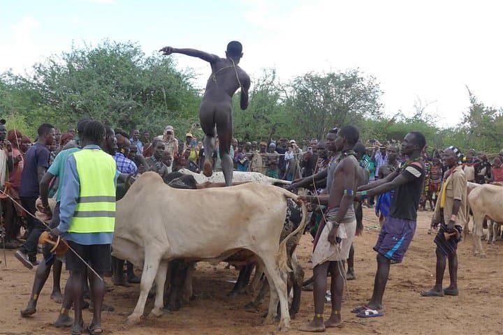 Omo Valley 6-Day Tribal Tour: Jinka, Mursi & Lake Chamo photo 2