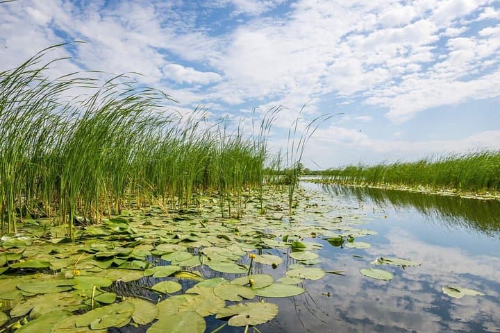 Black Sea & Danube Delta in 48 Hours: Culture, Birdlife and Boat Routes from Bucharest