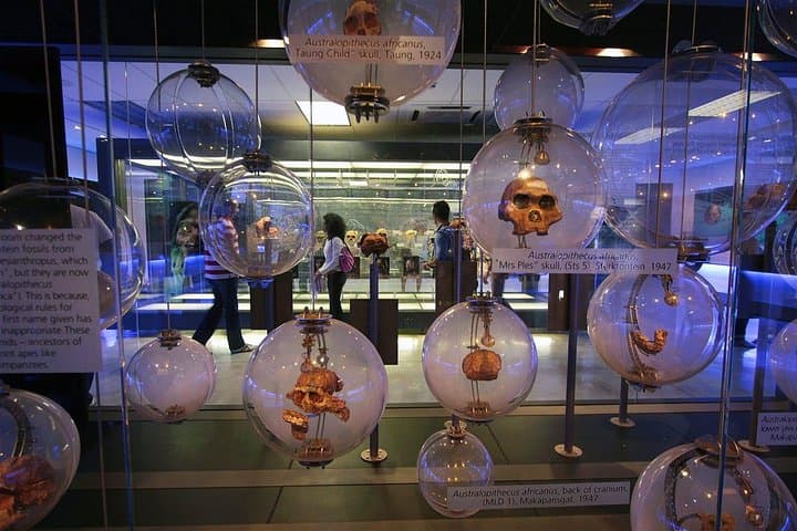 Exploring the Cradle of Humankind: Sterkfontein Caves & Maropeng Tour from Johannesburg