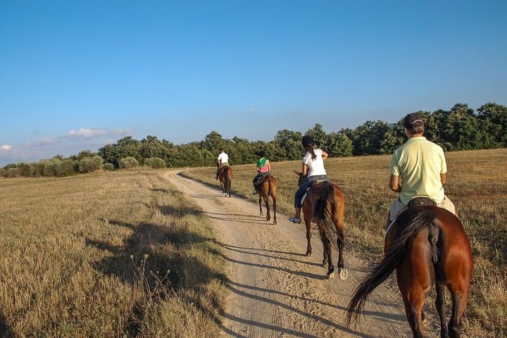 Murgia Park Horse Riding Tour — Ride to the Sassi di Matera Views photo 2