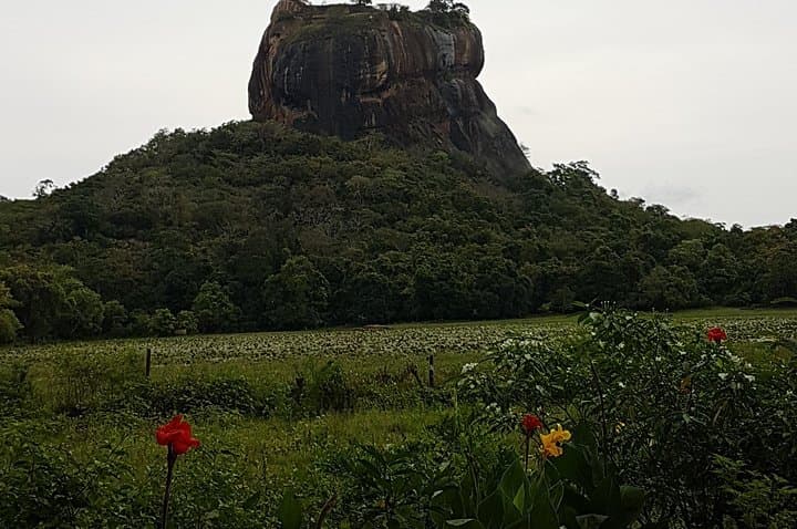 Kandy to Dambulla & Sigiriya Day Tour — Climb Lion Rock, Cave Temples & Spice Gardens photo 5