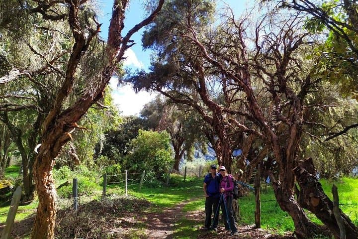 Otún Basin Crossing: 3-Day Paramo Trek to Laguna del Otún & Santa Isabel Glacier