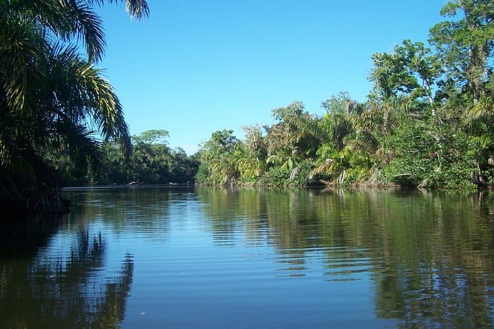 Exploring Gandoca Lagoon: Mangrove Boat Tour & Caribbean Wildlife in Costa Rica