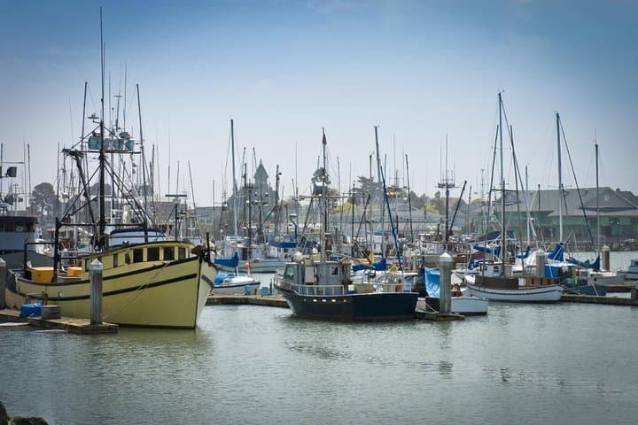Eureka Scavenger Hunt: From Lumber Town to Hidden Gems photo 2